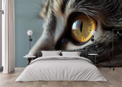 brown cat eye close up. pet eye Wall mural