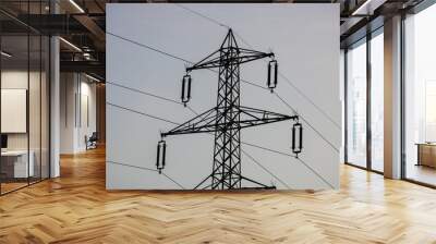 Details of high voltage post. High voltage tower close up isolated Wall mural