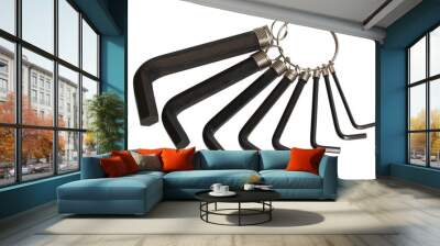 A set of hex wrenches. Wall mural