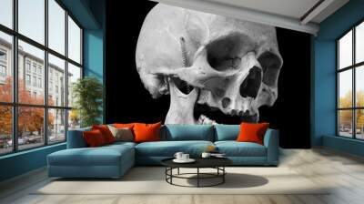 Skull of the human isolated on a black background. Wall mural