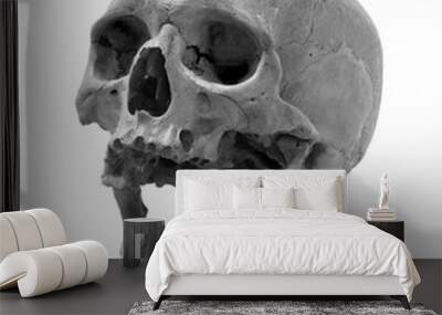 Skull of the person. Wall mural