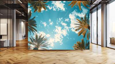 palm trees on sunny sky background with copy space Wall mural