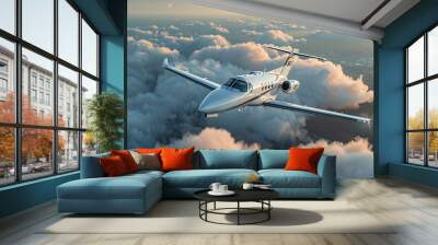 PRIVATE  JET IN CLOUDY SKY  Wall mural