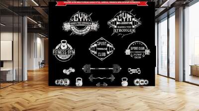 Vector Grungy Gym and Fitness Logo, Labels and Design Elements Wall mural