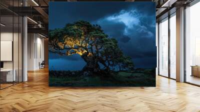 Old Tree Illuminated by Dramatic Thunderhead in Pico, Azores, Portugal Wall mural