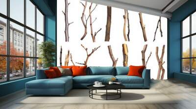 Sticks. Collection of Isolated Natural Tree Branches and Twigs on Background Wall mural