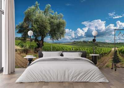 Vineyards in Casale Marittimo Village: Picturesque Maremma Landscape in Tuscany, Italy Wall mural