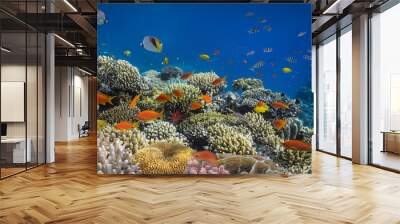 coral reef fishes in the water Wall mural