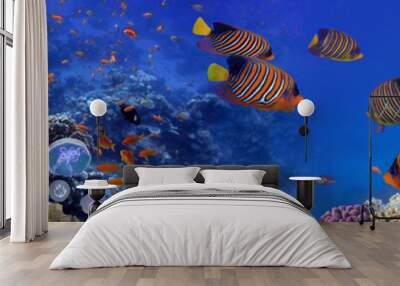 Coral reef underwater panorama with tropical fish Wall mural