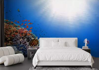 Green turtle and jellyfish swimming in blue ocean Wall mural