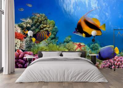 marine life on the coral reef Wall mural