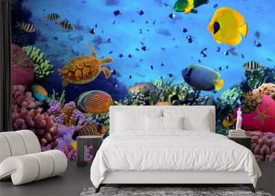 photo of a coral colony Wall mural