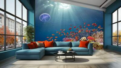 School of beautiful fish on soft and hard coral in shallow water of the Red Sea Wall mural