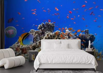 Tropical fish on a coral reef Wall mural