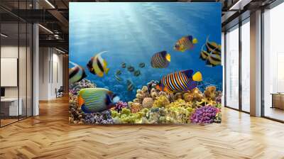 Underwater coral reef landscape Wall mural