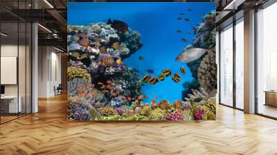 Underwater scene. Coral reef and fish groups Wall mural