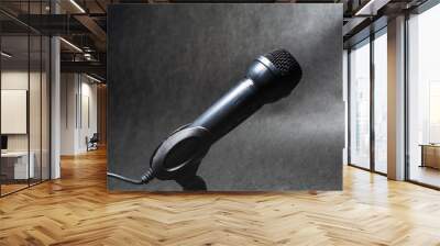 The electric microphone on a monophonic black background. Equipment for the singer or blogger. Music. Technologies. Wall mural