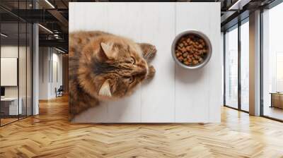 Cat eating from a bowl on white wooden planks. Wall mural