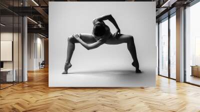 Beautiful woman dancer posing in studio. Flexible sexy woman. Black and white Wall mural