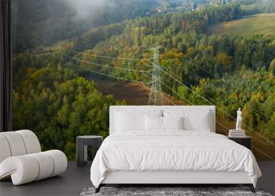 Aerial view of the high voltage power lines and high voltage electric transmission on the terrain surrounded by trees at sunlight Wall mural