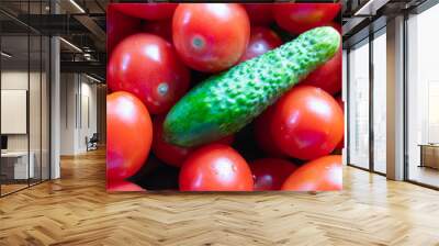 A lot of red tomato and green cucumber lying in the center. Wall mural