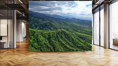 A mountainous area with different green vegetation. The view from the drone. Wall mural