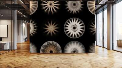 Abstract cymatic formations on black background. Experimental cymatics biomorphic shapes.  Wall mural