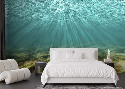 The underwater world background. Wall mural