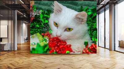 Sly Muzzle A beautiful fluffy white cat on a green sofa in green and red New Year's decorations gnaws red beads Wall mural