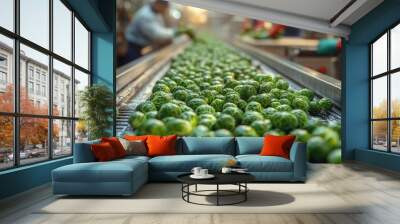 Brussels sprouts on a production line being sorted and processed by workers in a food factory atmosphere. Wall mural