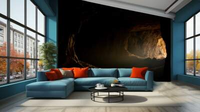 cave Wall mural