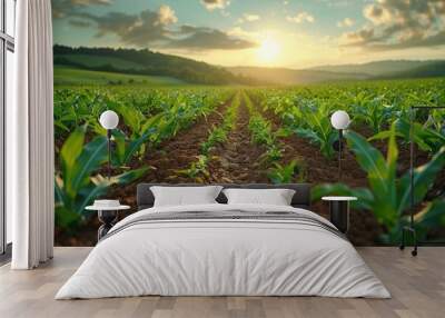 Cornfield at sunset with vibrant green plants and rich brown soil under a colorful sky in rural landscape Wall mural