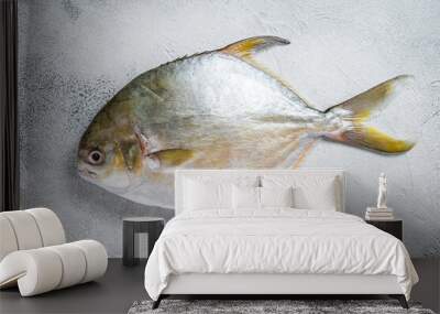 Fresh raw fish pompano on kitchen table. White background. Top view Wall mural