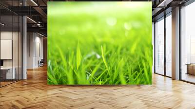 green grass background Wall mural