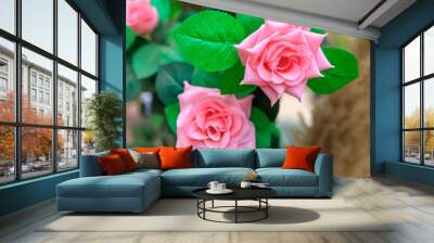 Two synthetic roses Wall mural