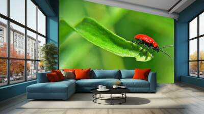 garden bug Wall mural