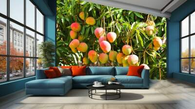 mango tree with ripening fruits Wall mural