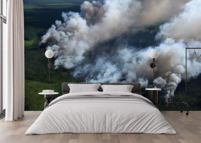 Wildfire in forest, aerial view Wall mural