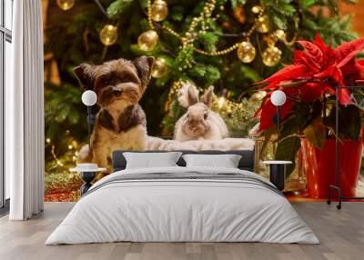 New year under the tree from a dog and a rabbit. Biewer Terrier under the garland around Prasanthi. High quality photo Wall mural