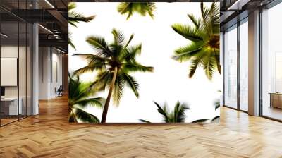 palm tree branches Wall mural