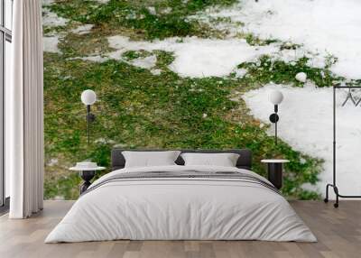 Photo of snow on the green grass. Wall mural