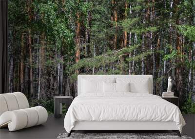 The border of a dense forest on a summer day Wall mural