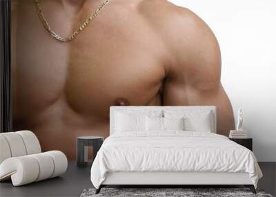 muscular male torso Wall mural