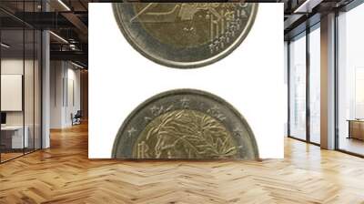 Two Euro Coin Wall mural