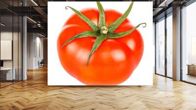 Ripe bright red tomato with green leaves isolated on a white background close-up Wall mural