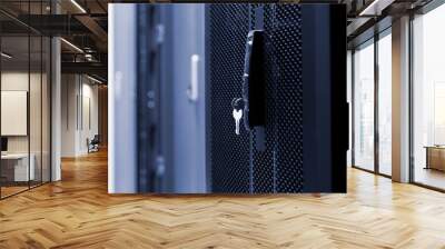 Close up meshed door with key in lock. Button in server room. Blur background of racks rows with network and hardware in the data center Wall mural