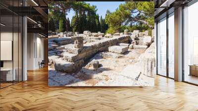 The ruins of Temple of Athena Polias at the Filerimos Rhodes Greece Europe Wall mural