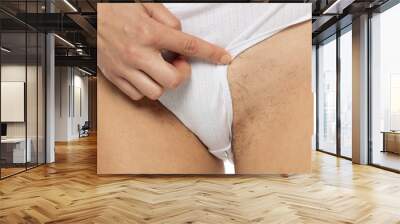 Pubic Hair On Woman's Bikini Area And White Panties, Closeup. Wall mural