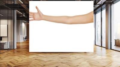 whole female arm on white background Wall mural