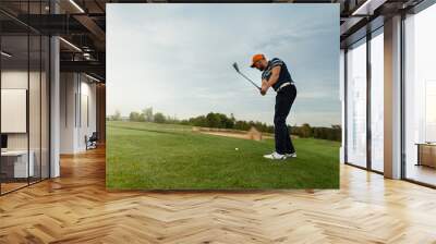 Golfer hitting iron club on golf course on fairway. Golf ball on tee. Wall mural